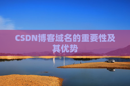 CSDN博客域名的重要性及其优势